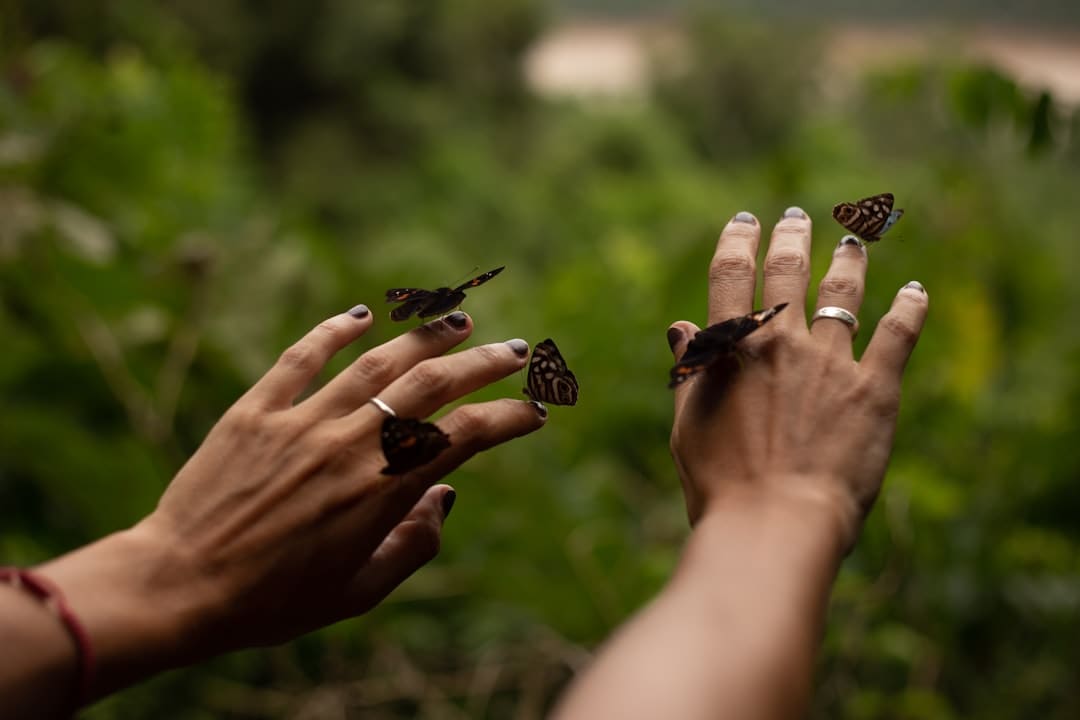 篮球一级运动员